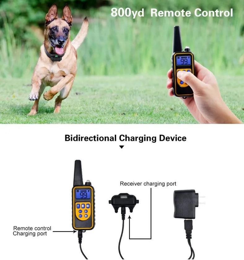 Dog Shock Training Collar