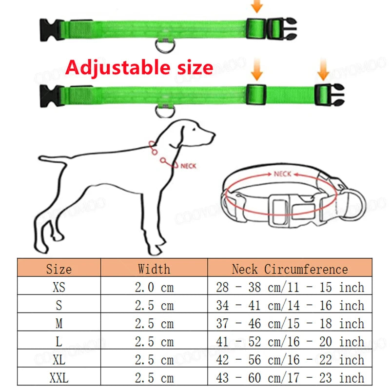 Dog Collar With A Light