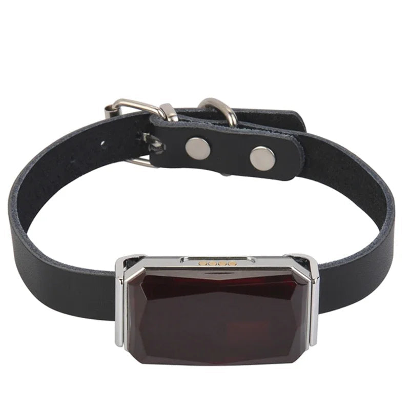 Gps Dog Collar Fence