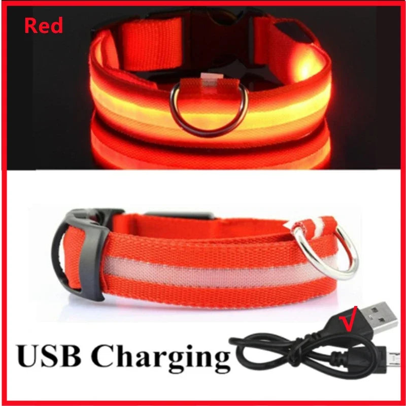 Dog Collar With A Light
