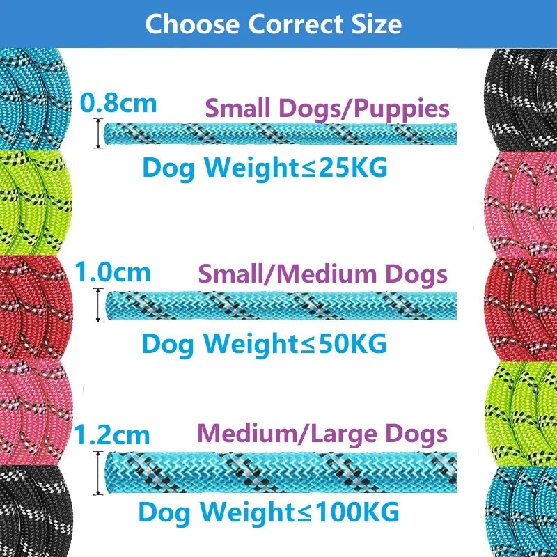 Strong Leash For Dogs