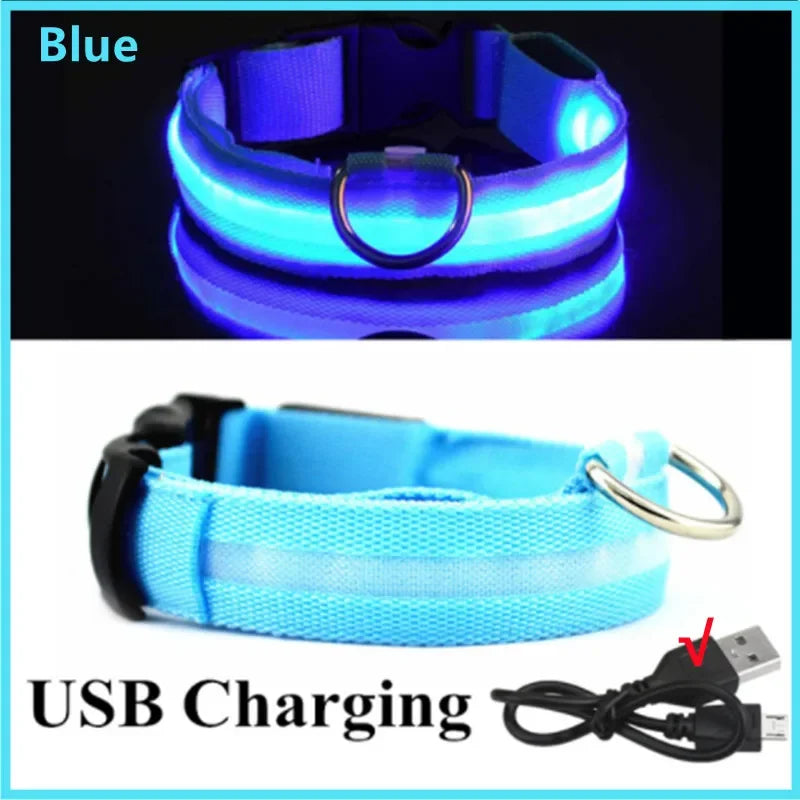 Dog Collar With A Light