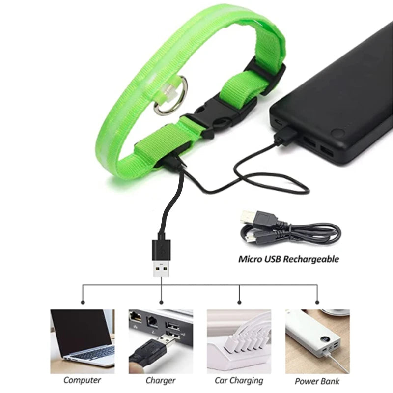 Dog Collar With A Light