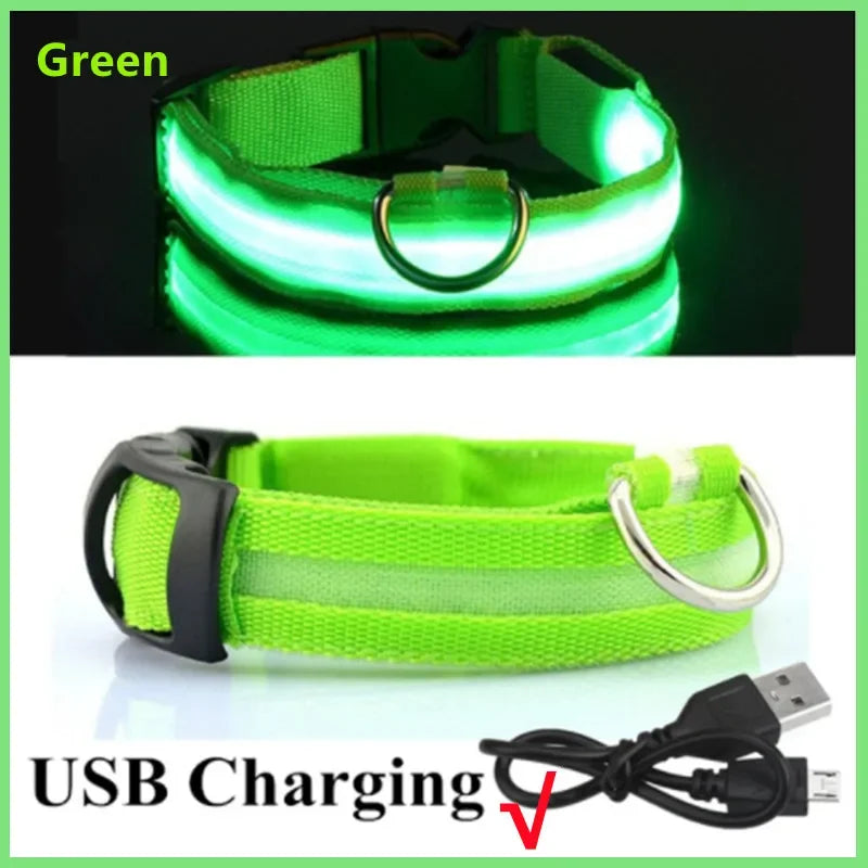Dog Collar With A Light