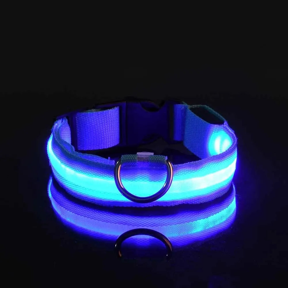 Lighted Dog Collar