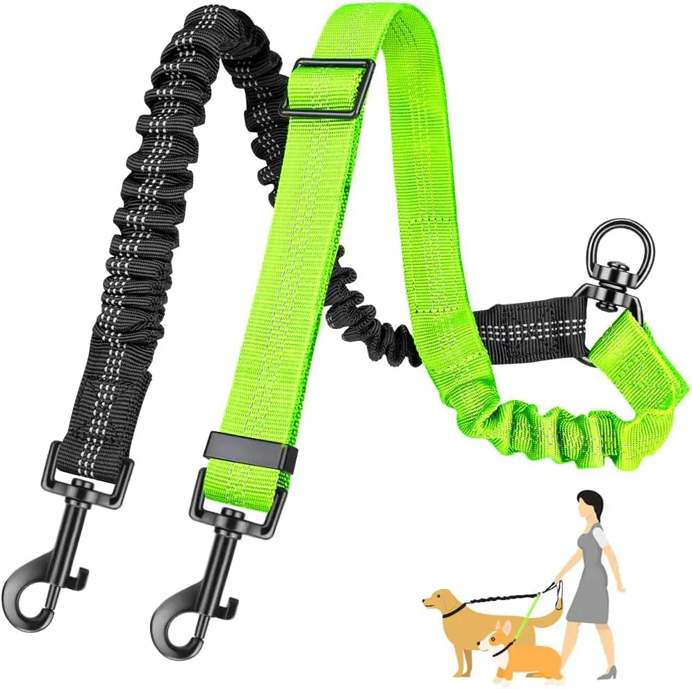 Double Dog Walking Leash