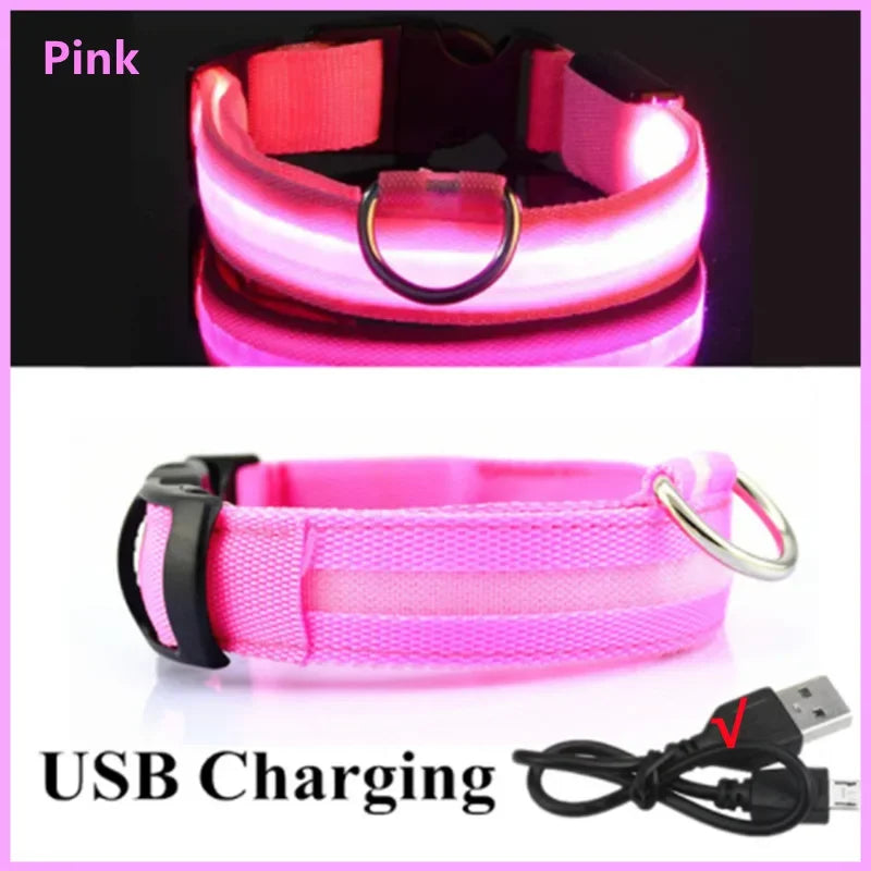 Dog Collar With A Light