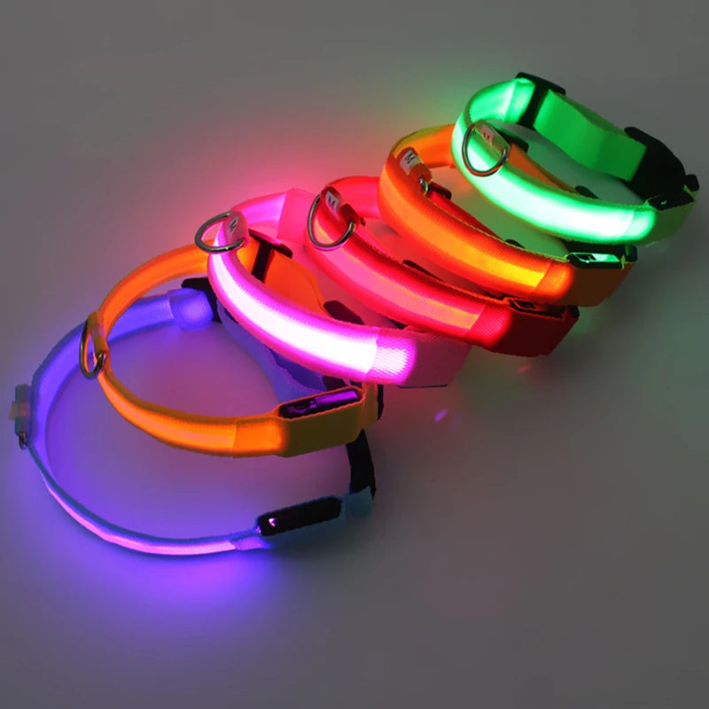 Dog Collar With A Light