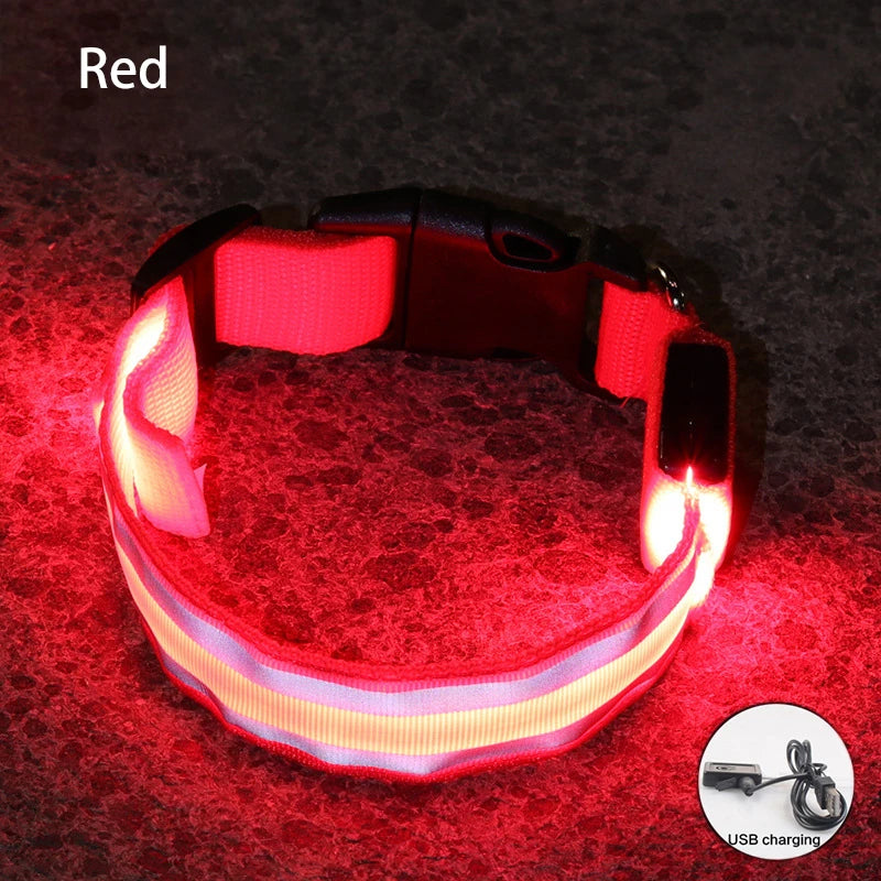 Dog Light Up Collar