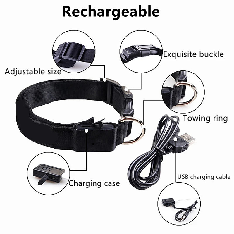 Dog Collar With A Light