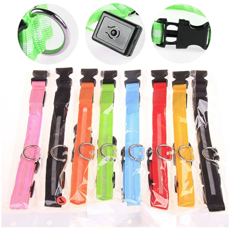 Dog Collar With A Light