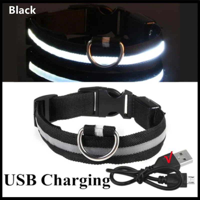 Dog Collar With A Light