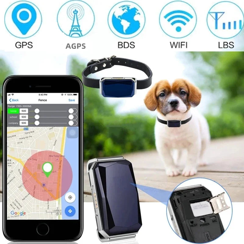 Gps Dog Collar Fence