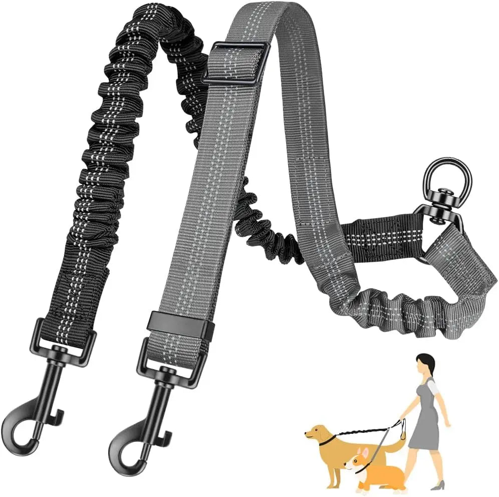 Double Dog Walking Leash
