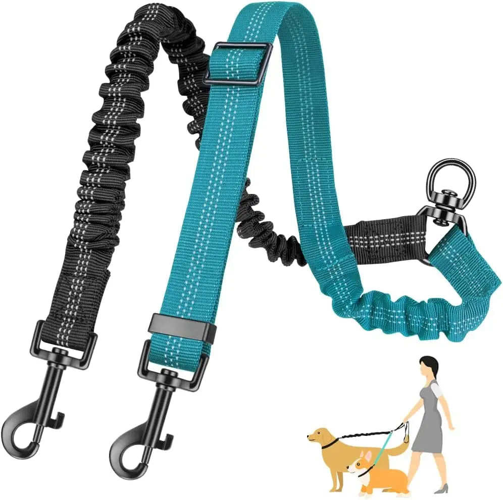 Double Dog Walking Leash