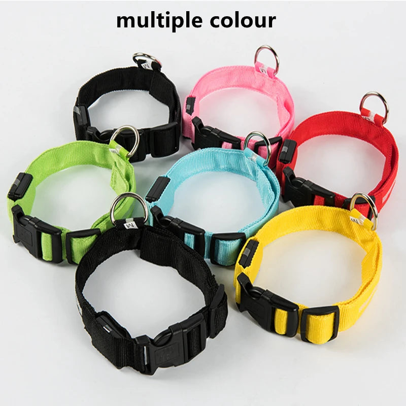 Dog Collar With A Light