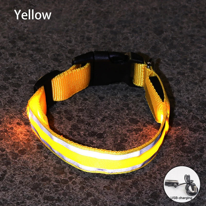 Dog Light Up Collar