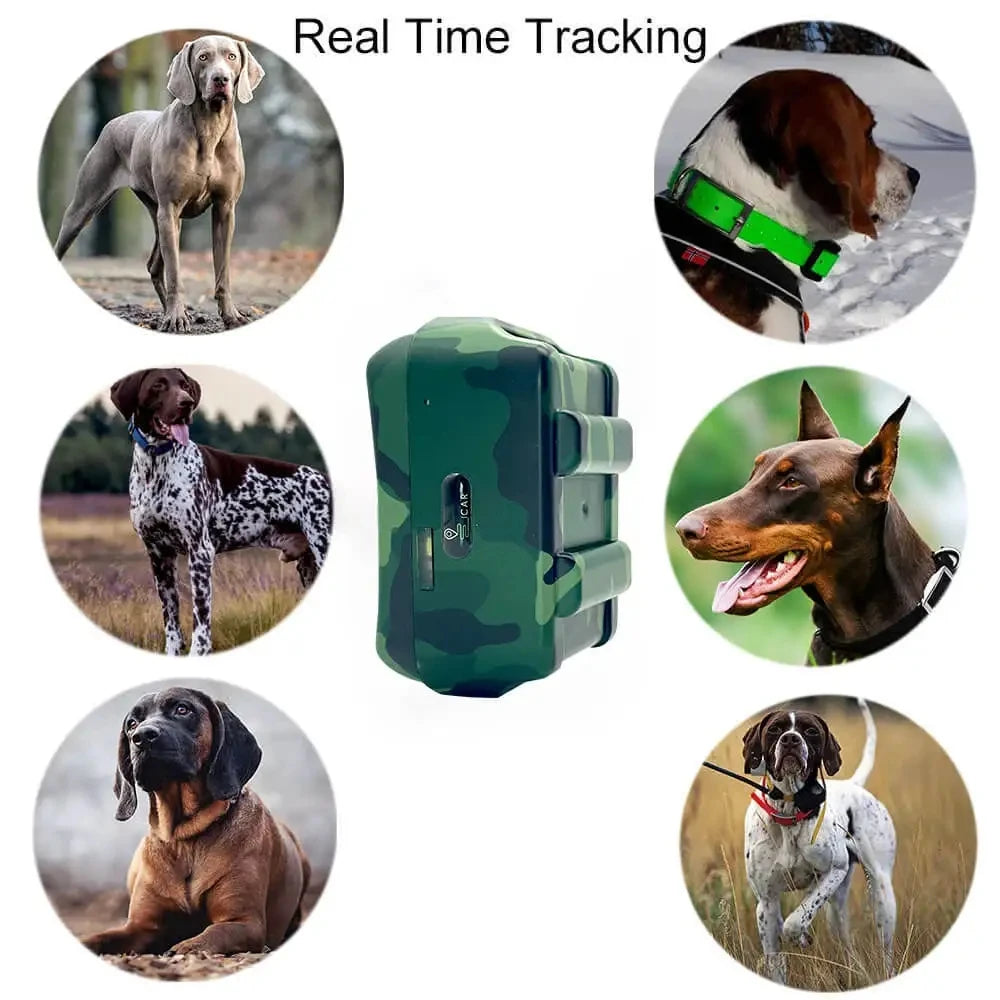 Dog Tracking Collar For Hunting