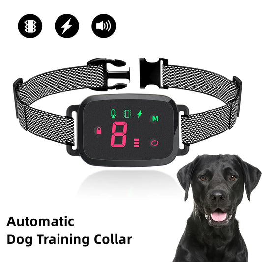 Bark Collar Dog Training