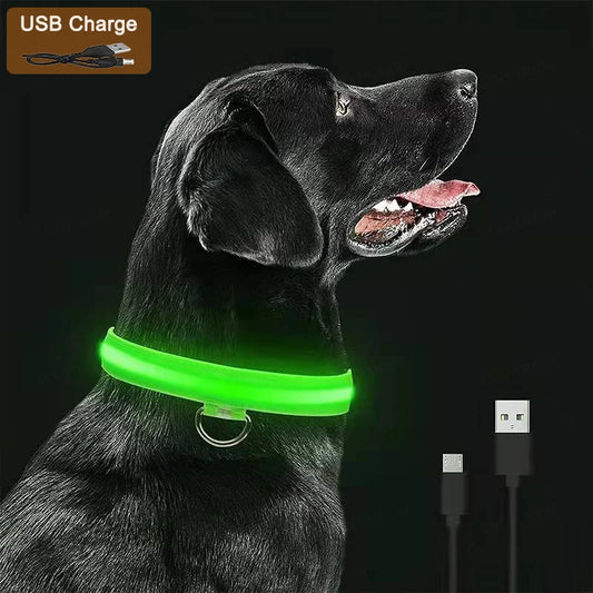 Dog Collar With A Light