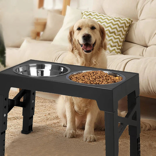 Elevated Dog Bowl