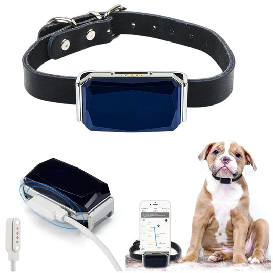 Gps Dog Collar Fence