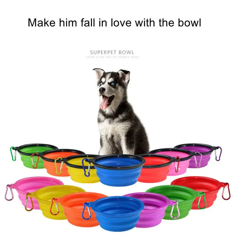 Folding Dog Bowl