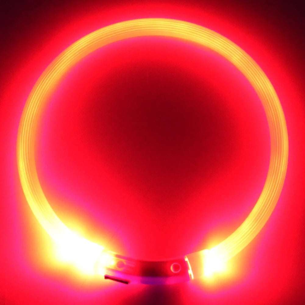 Dog Rechargeable Led Collar