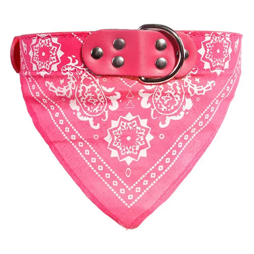 Leather Dog Collar