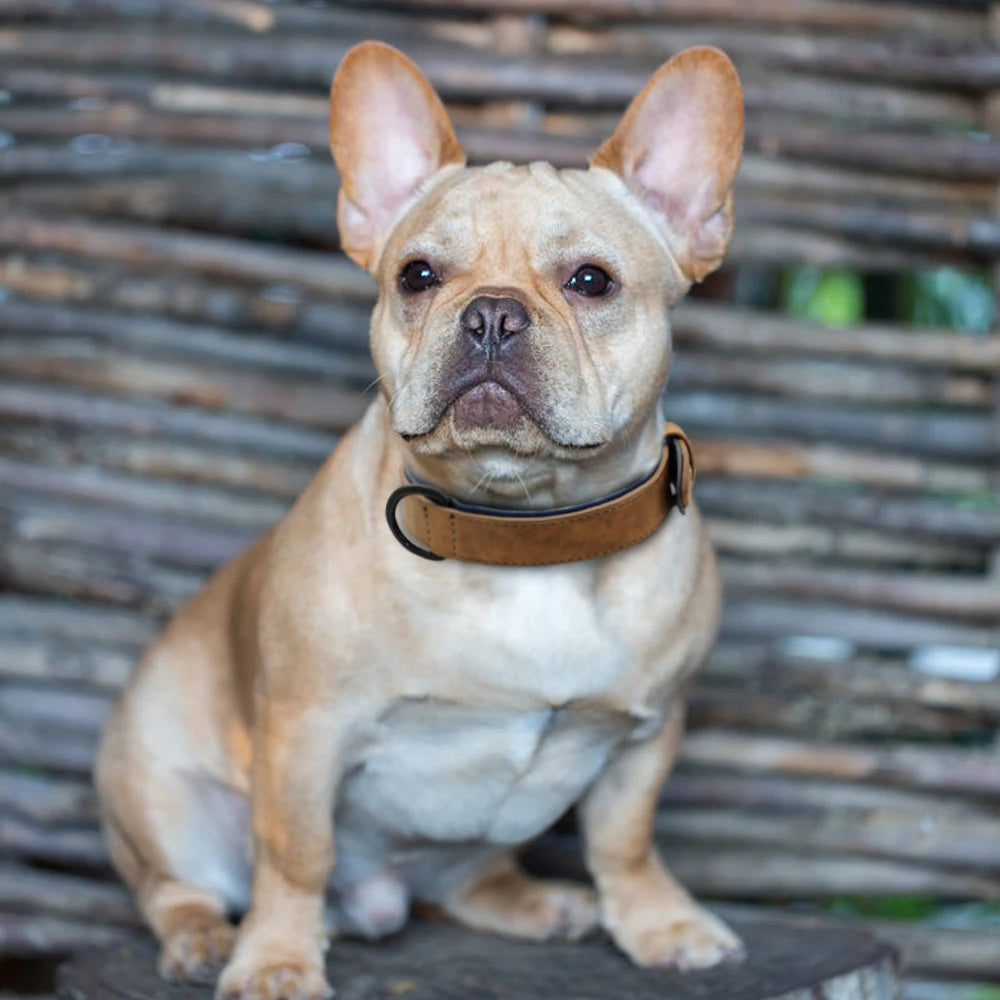 Round Leather Dog Collar