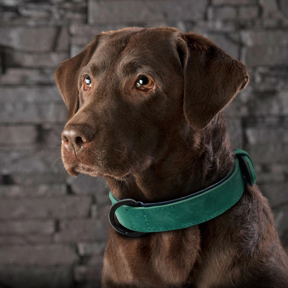 Round Leather Dog Collar