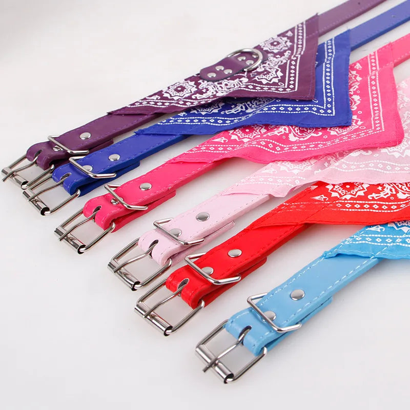 Leather Dog Collar