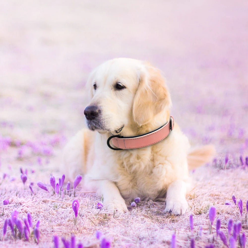 Round Leather Dog Collar