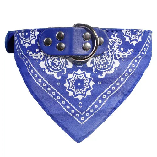 Leather Dog Collar