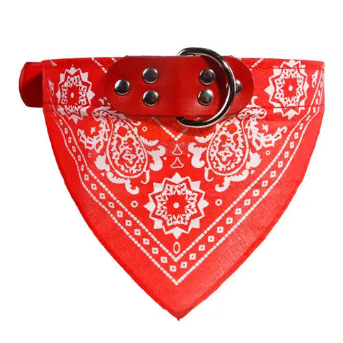 Leather Dog Collar