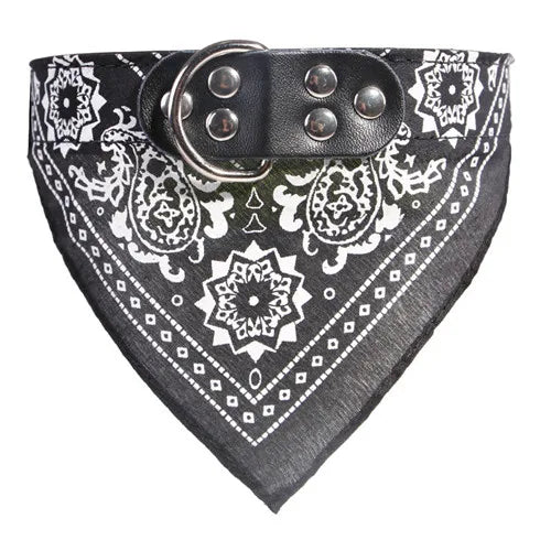 Leather Dog Collar