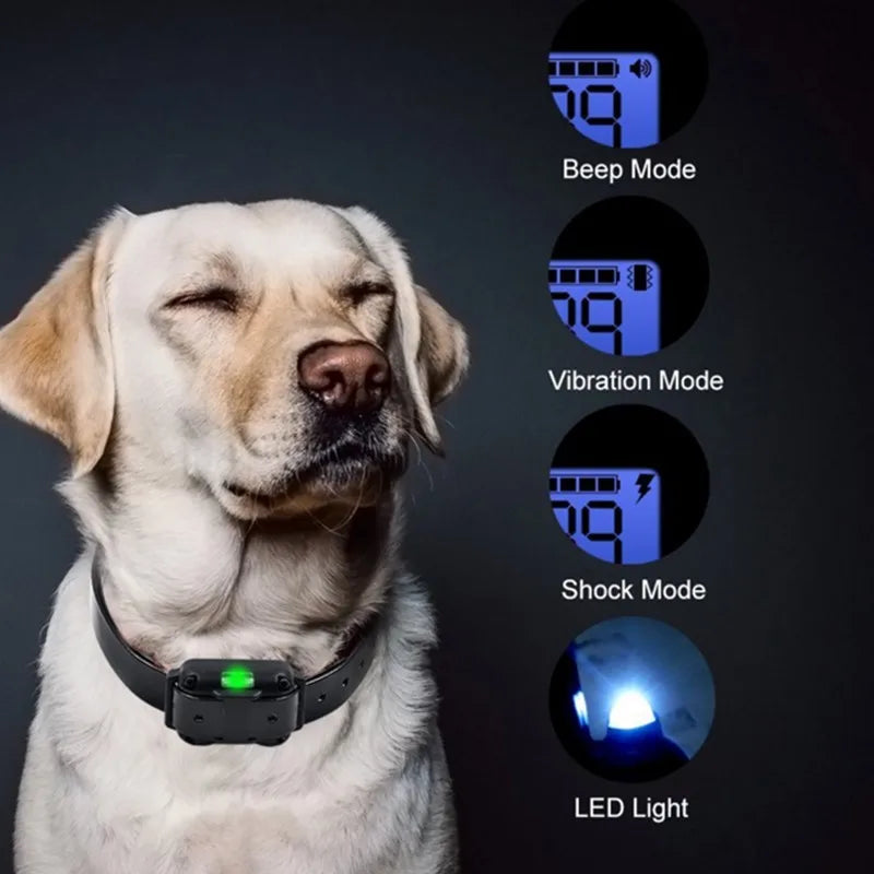 Dog Shock Training Collar