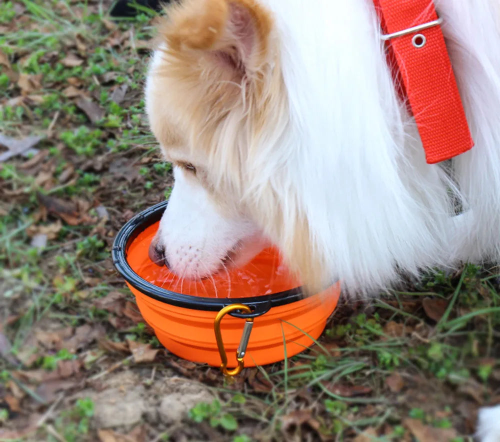 Collapsible Water Bowls For Dogs