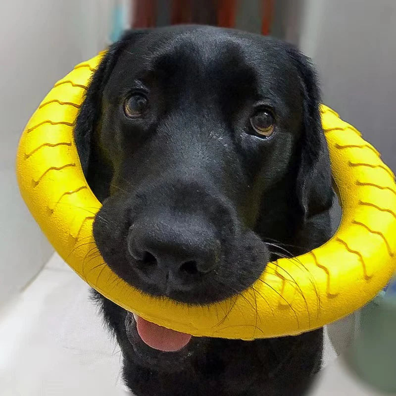 Indestructible Dog Chew Toys