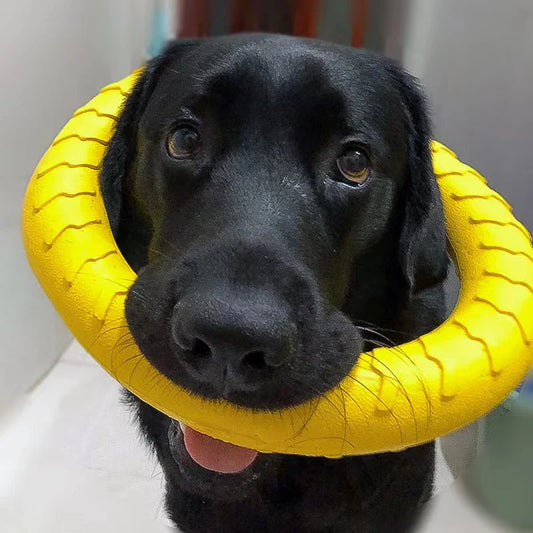 Indestructible Dog Chew Toys