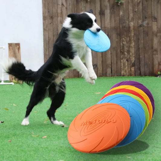 Interactive Toys For Small Dogs