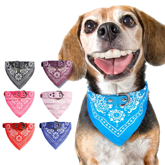Dog Collar