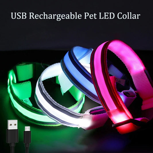 Dog Light Up Collar