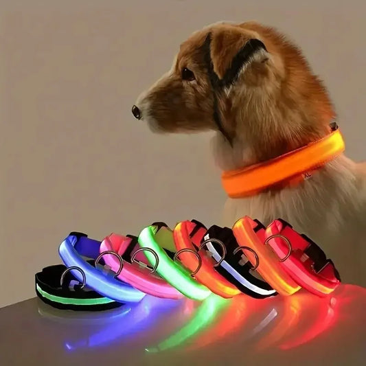 Lighted Dog Collar