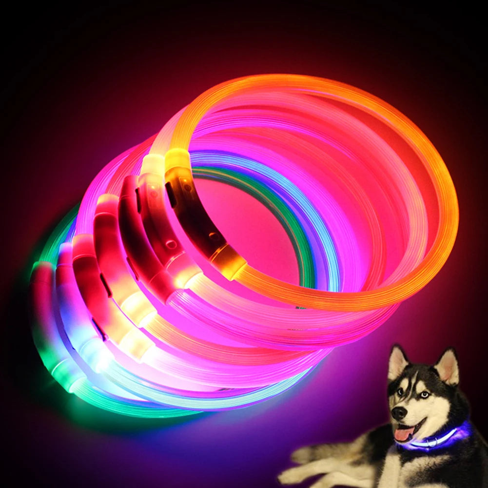 Dog Rechargeable Led Collar