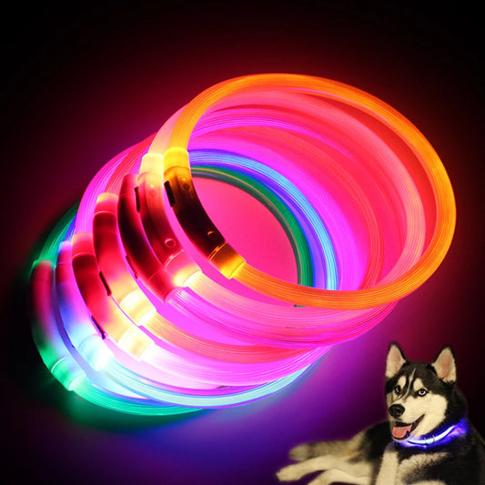 Dog Rechargeable Led Collar