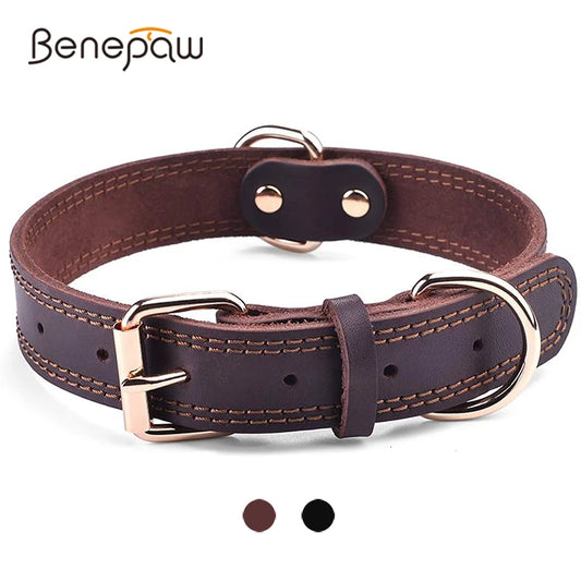 Rolled Leather Dog Collar