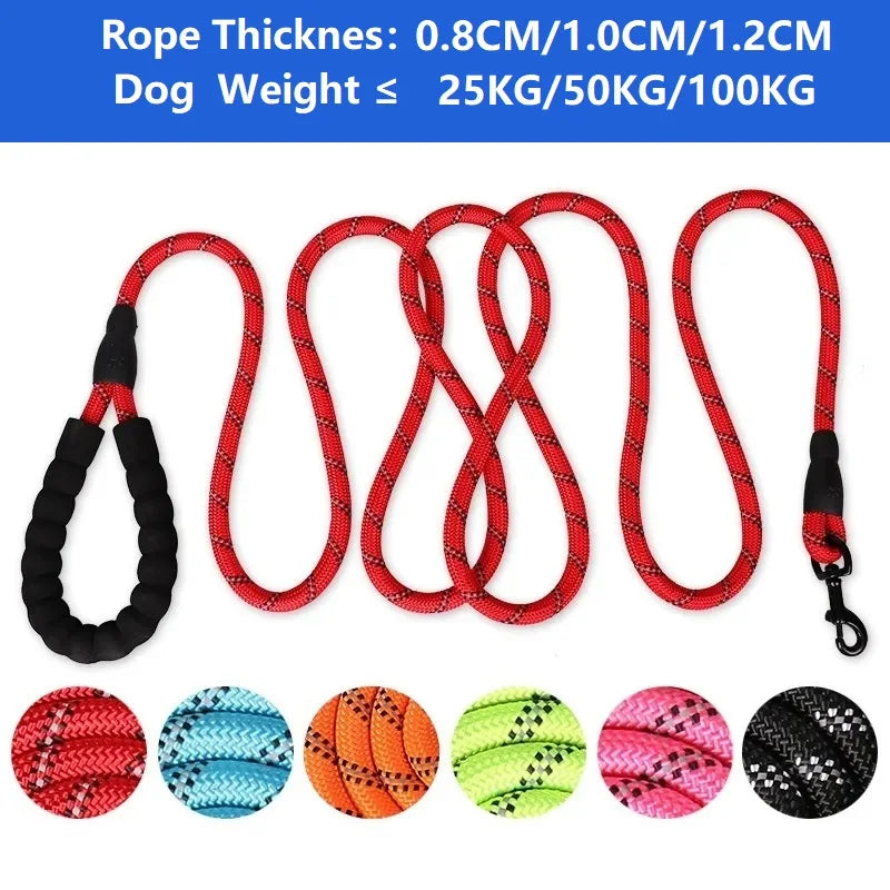 Strong Leash For Dogs