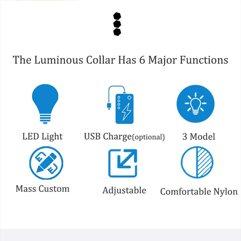 Dog Light Up Collar