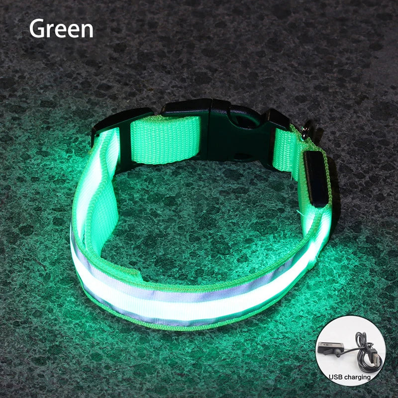 Dog Light Up Collar